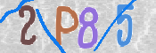 Obrazek CAPTCHA