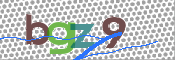 Obrazek CAPTCHA