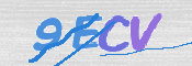 Obrazek CAPTCHA