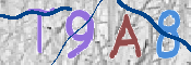 Obrazek CAPTCHA