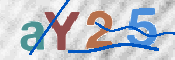 Obrazek CAPTCHA