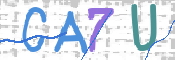 Obrazek CAPTCHA