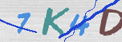 Obrazek CAPTCHA