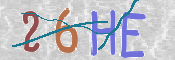 Obrazek CAPTCHA