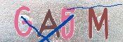 Obrazek CAPTCHA
