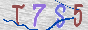 Obrazek CAPTCHA