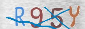 Obrazek CAPTCHA
