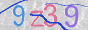 Obrazek CAPTCHA
