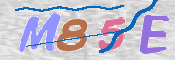 Obrazek CAPTCHA